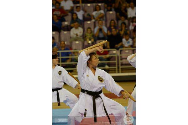 Παγκρήτιος Α.Σ. Μαχητικών Τεχνών ΚΑΡΑΪΣΚΑΚΗΣ (Ν.Αλικαρνασσός) - 3