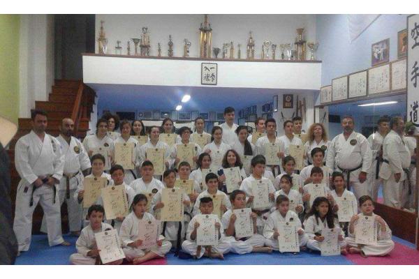 Παγκρήτιος Α.Σ. Μαχητικών Τεχνών ΚΑΡΑΪΣΚΑΚΗΣ (Ν.Αλικαρνασσός) - 1