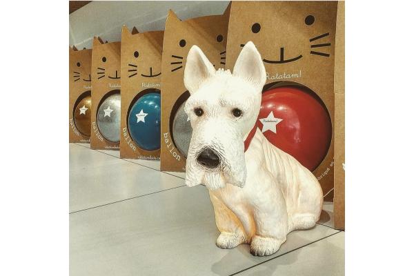 Το Παπί και το Λεμόνι - 6